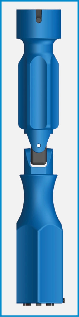 Universal-Montageschlüssel für WC-Sitze-CTOOLWCSMSN-